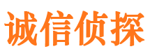 公安市调查公司